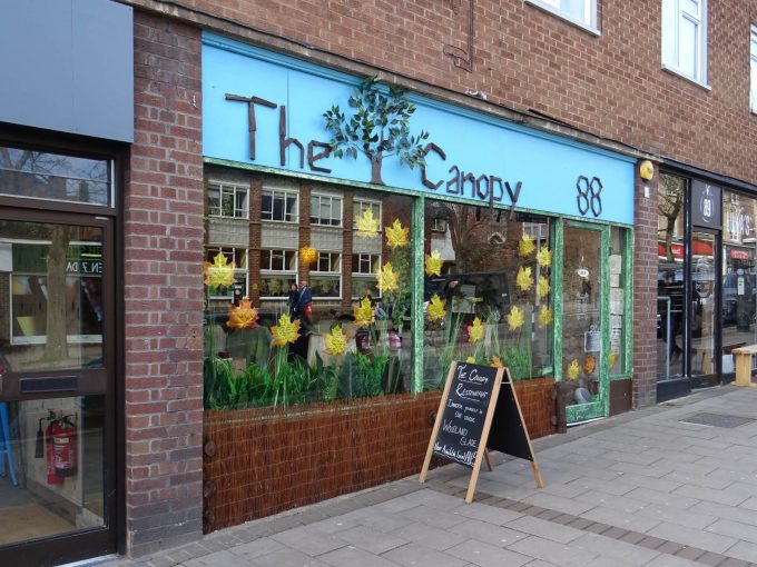 The Canopy - Exeter