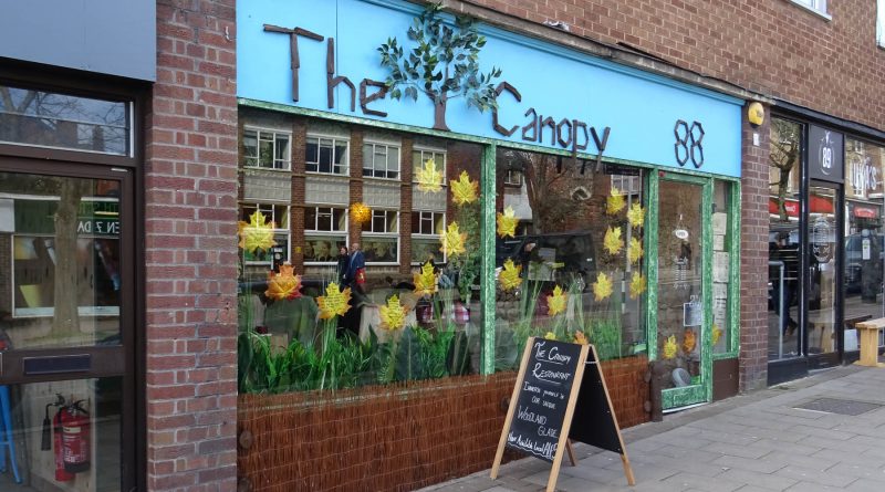 The Canopy - Exeter